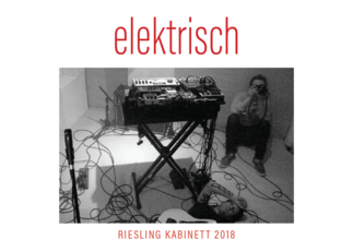 Seehof Riesling Kabinett 