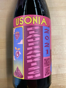 Usonia Blaufränkisch, Finger Lakes 2022