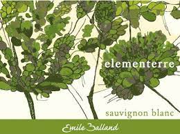 VdP du Val de Loire "Elementerre", Emile Balland 2022